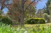41 Burdekin Street, Duffy, ACT 2611-Image