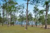 41 Burgess Road, Laidley Heights, Qld 4341-Image