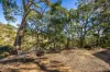 41 Coach Road, Skye, SA 5072-Image