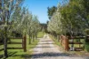 41 Corins Crescent, Newlands Arm, Vic 3875-Image