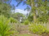 41 Counihan Street, Ormiston, Qld 4160-Image