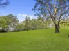 41 Counihan Street, Ormiston, Qld 4160-Image
