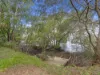 41 Counihan Street, Ormiston, Qld 4160-Image