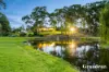 41 Cressy Road, Mount Vernon, NSW 2178-Image