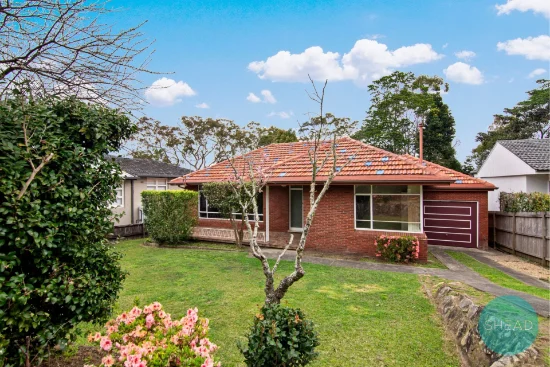 41 Deepwater Road, Castle Cove, NSW 2069