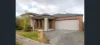 41 Dingo Street, Point Cook, Vic 3030-Image