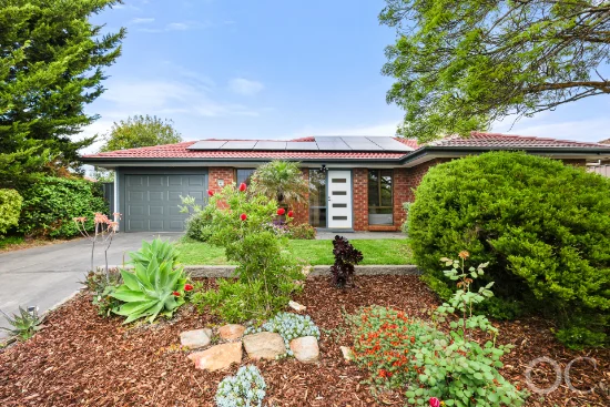 41 Doulton Drive, Trott Park, SA 5158