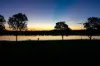 41 Eastlake Drive, Lake Albert, NSW 2650-Image