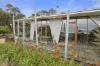 41 Edmundson Street, Birregurra, Vic 3242-Image
