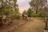 41 Eugene Place, Karragullen, WA 6111-Image