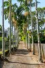 41 Fig Tree Hill Drive, Lennox Head, NSW 2478-Image
