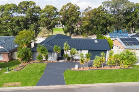 41 Gabriella Avenue, Cecil Hills NSW 2171-Image