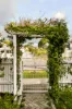 41 Goulburn Street, Gordon Park, Qld 4031-Image