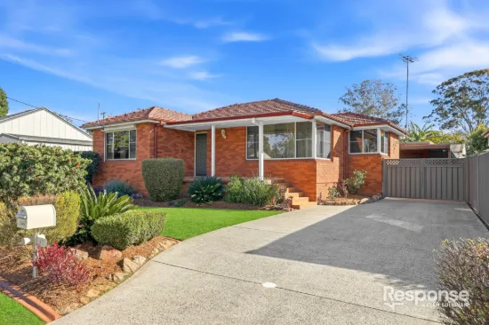 41 Greenleaf Street, Constitution Hill, NSW 2145