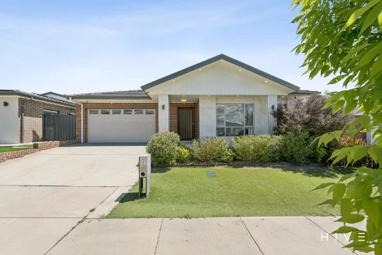 41 Harriott Street, Wright, ACT 2611