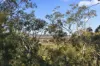 41 Harrow Circuit, Greta, NSW 2334-Image