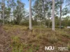 41 Hewett Drive, Regency Downs, Qld 4341-Image
