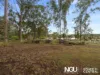 41 Hewett Drive, Regency Downs, Qld 4341-Image