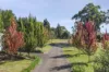 41 High View Crescent, Gisborne, Vic 3437-Image