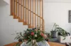 41 Hill Street, Leichhardt, NSW 2040-Image