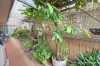 41 Hockey Place, West Beach, WA 6450-Image