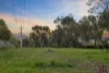 41 Hooper Crescent, Flynn, ACT 2615-Image