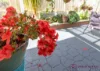 41 Hubbard Way, Medina, WA 6167-Image