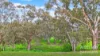41 Jackson Street, Casterton, Vic 3311-Image