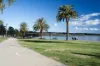 41 King Street, Warners Bay, NSW 2282-Image