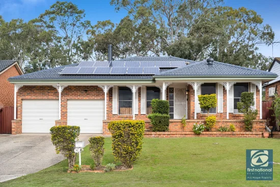 41 Lancia Drive, Ingleburn, NSW 2565