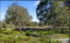 41 Larapinta Parkway, Wanneroo, WA 6065-Image
