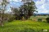 41 Loftus Street, Bemboka, NSW 2550-Image