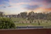 41 Maynard Street, Ngunnawal, ACT 2913-Image