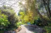 41 McInnes Street, Weston, ACT 2611-Image
