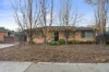 41 Messenger Street, Holt, ACT 2615-Image