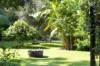 41 Miva Street, Cooroy, Qld 4563-Image