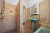 41 Mount Lewis Avenue, Punchbowl NSW 2196-Image