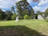 41 Old Orbost Road, Swan Reach, Vic 3903-Image