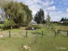 41 Old Orbost Road, Swan Reach, Vic 3903-Image