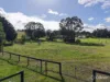 41 Old Orbost Road, Swan Reach, Vic 3903-Image