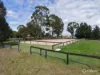 41 Old Orbost Road, Swan Reach, Vic 3903-Image