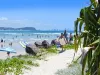 41 Ottelia Drive, Elanora, Qld 4221-Image