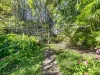 41 Oxford Street, Hamilton, Qld 4007-Image