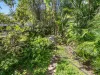 41 Oxford Street, Hamilton, Qld 4007-Image