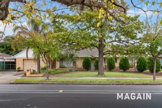 41 Pildappa Avenue, Park Holme, SA 5043