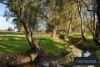 41 Pin Oak Dr, Wangaratta, Vic 3677-Image