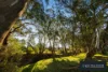 41 Pin Oak Dr, Wangaratta, Vic 3677-Image
