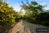 41 Pin Oak Dr, Wangaratta, Vic 3677-Image
