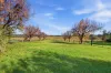 41 Pindari Avenue, Camden, NSW 2570-Image