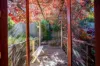 41 Princes Avenue, Crafers West, SA 5152-Image